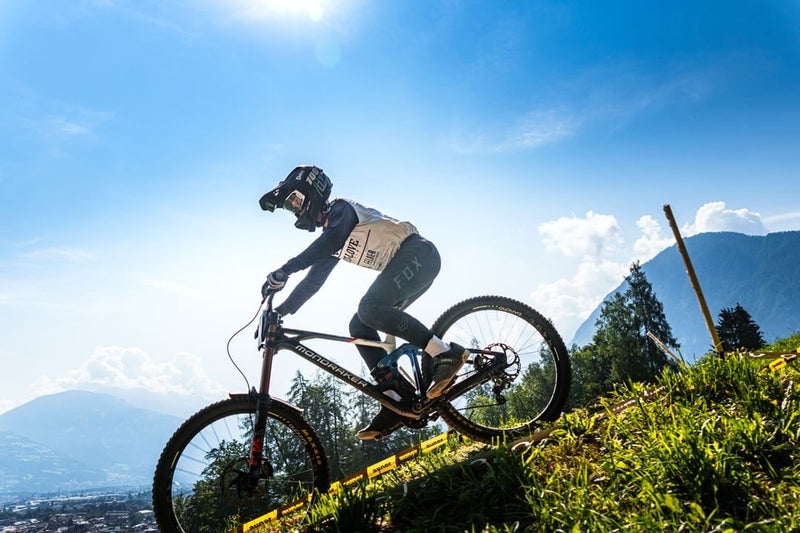 Noah Hofmann Hintergrund